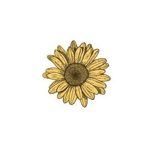 Meet your Posher, Rose